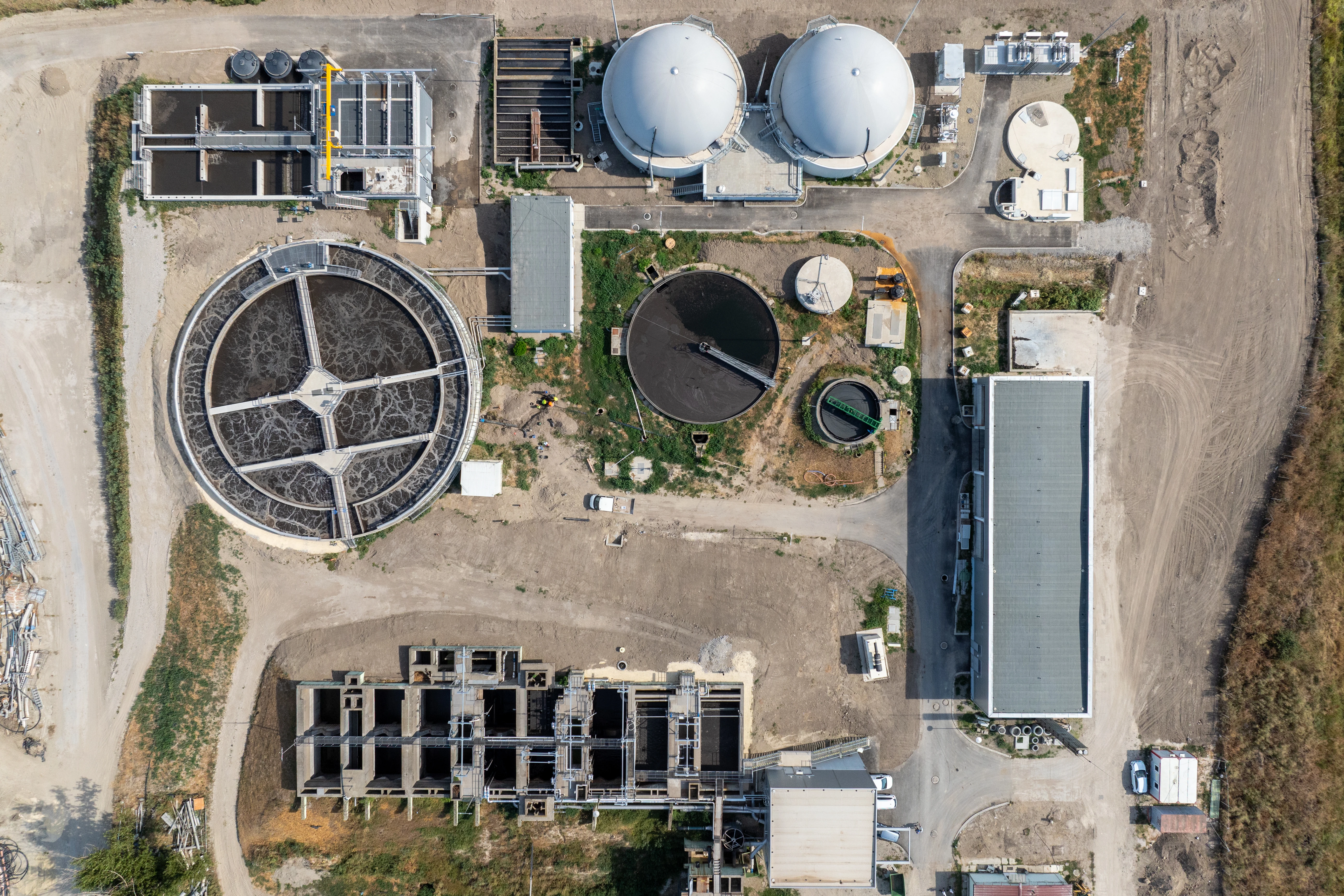 HD 240812 EM 0971 (1)