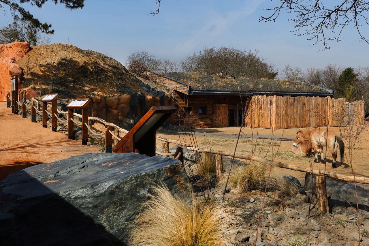 Zoo Praha – výběhy a stáje koní Převalského, pavilon drobných savců a plazů, voliéry manula - Magasépítés