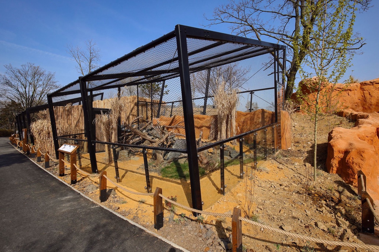 Zoo Praha – výběhy a stáje koní Převalského, pavilon drobných savců a plazů, voliéry manula - Magasépítés