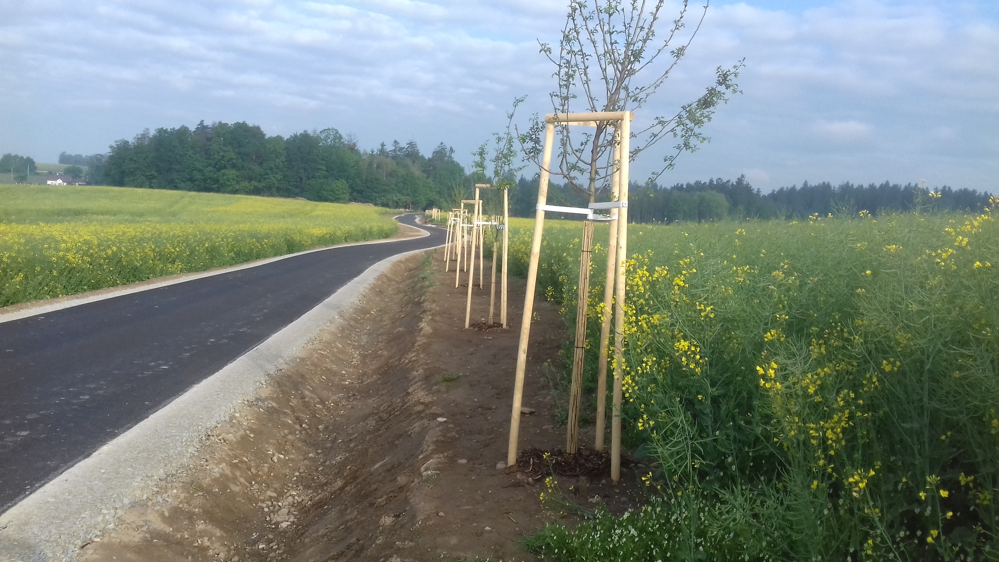 Cyklostezka – propojení katastrálních území Matná–Buk         - Út- és hídépítés